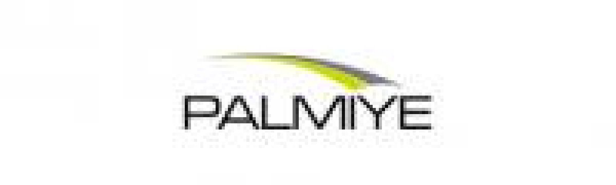 PALMIYE GLOBAL HAREKETLI YAPI